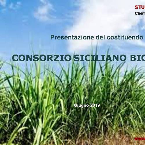 Consorzio siciliano biomasse